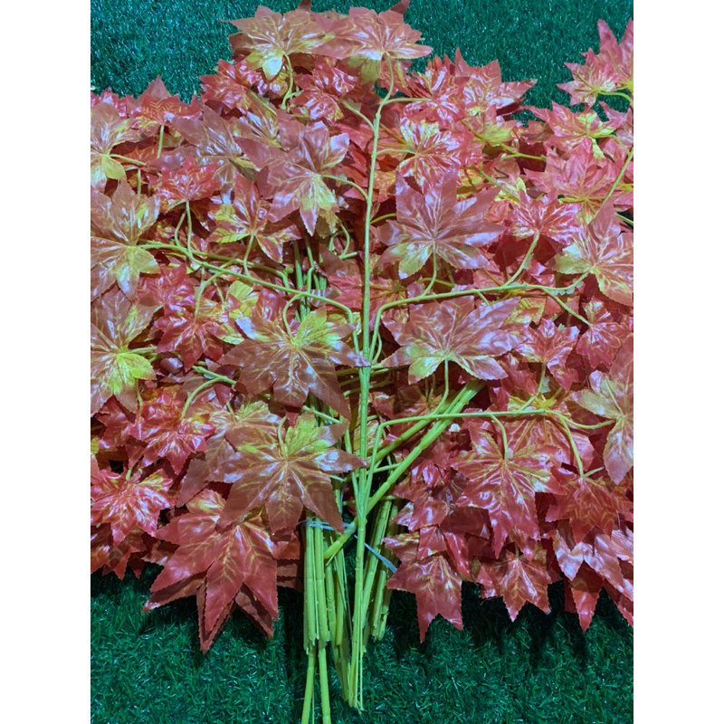 Combo 12 cành Lá Phong đỏ 🍁