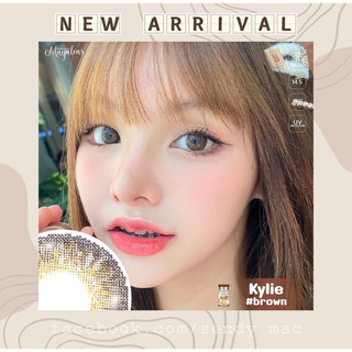 [Kính Áp Tròng] Missing Brown