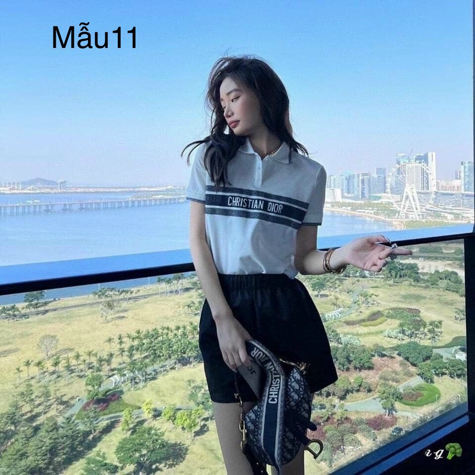 Áo Polo Nữ-Áo Thun Nữ cộc tay