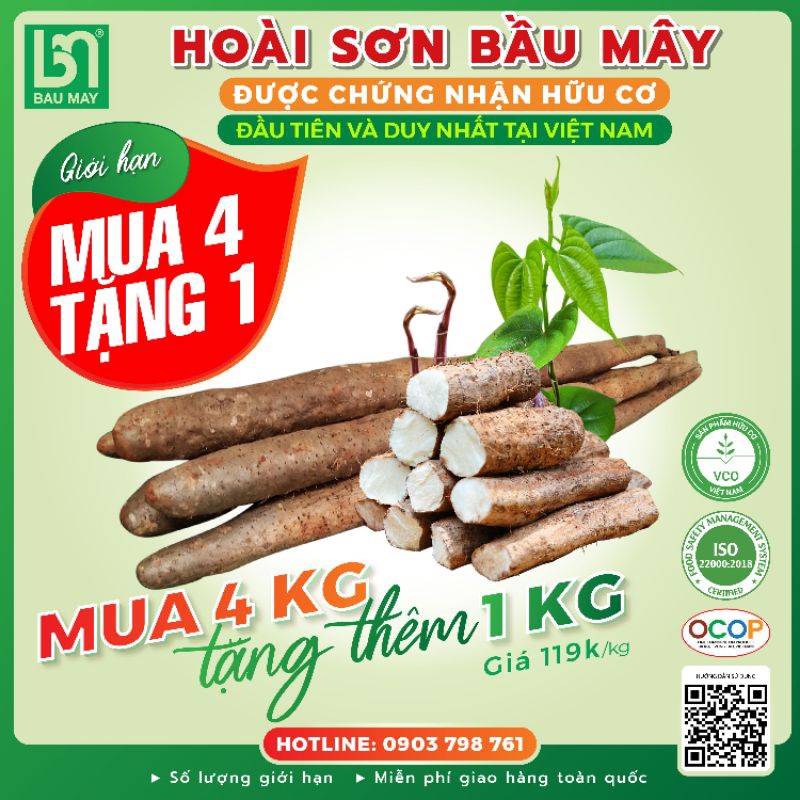 Củ Hoài sơn tươi chuẩn Organic (Củ khoai Mài) Bầu Mây 1kg - Giúp hỗ trợ tăng cường sức khỏe cho người đang bị yếu