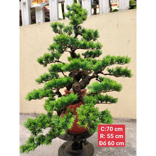 Cây giả decor cây BONSAI giả nhiều mẫu đẹp trang trí