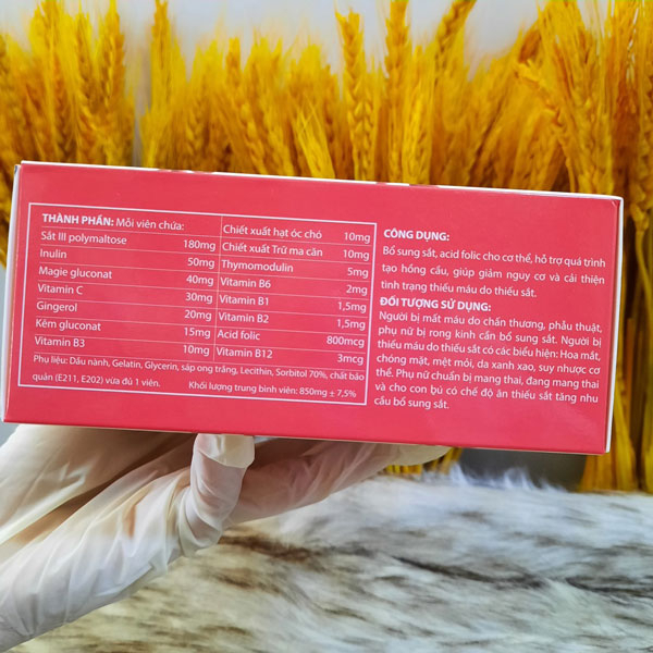 Bổ Máu Fe Oscar, hỗ trợ quá trình tạo hồng cầu, bổ sung sắt, acid folic (Hộp 10 vỉ x 10 viên)