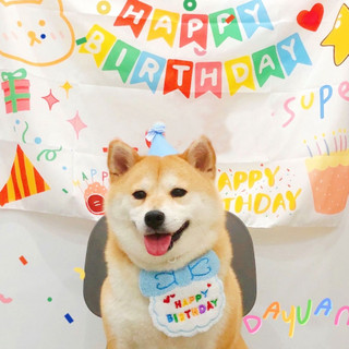 Combo nón yếm Happy birthday hoá trang mừng sinh nhật cho chó mèo