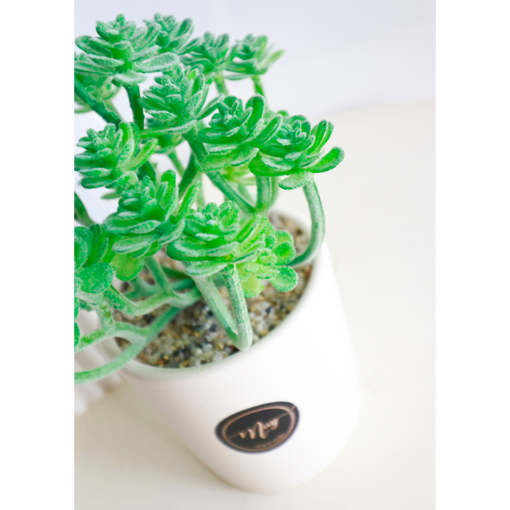 Cây giả,Sen đá tầng giả trang trí chậu vân gốm cát