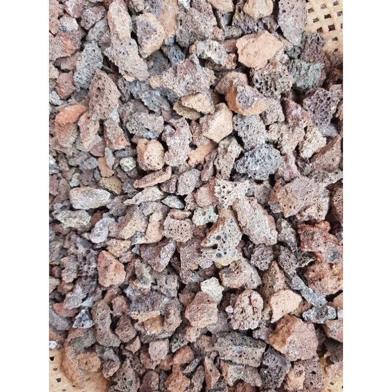 Nham thạch nhỏ loại to bằng ngón tay cái đổ xuống bao 1 kg- tặng thêm kg