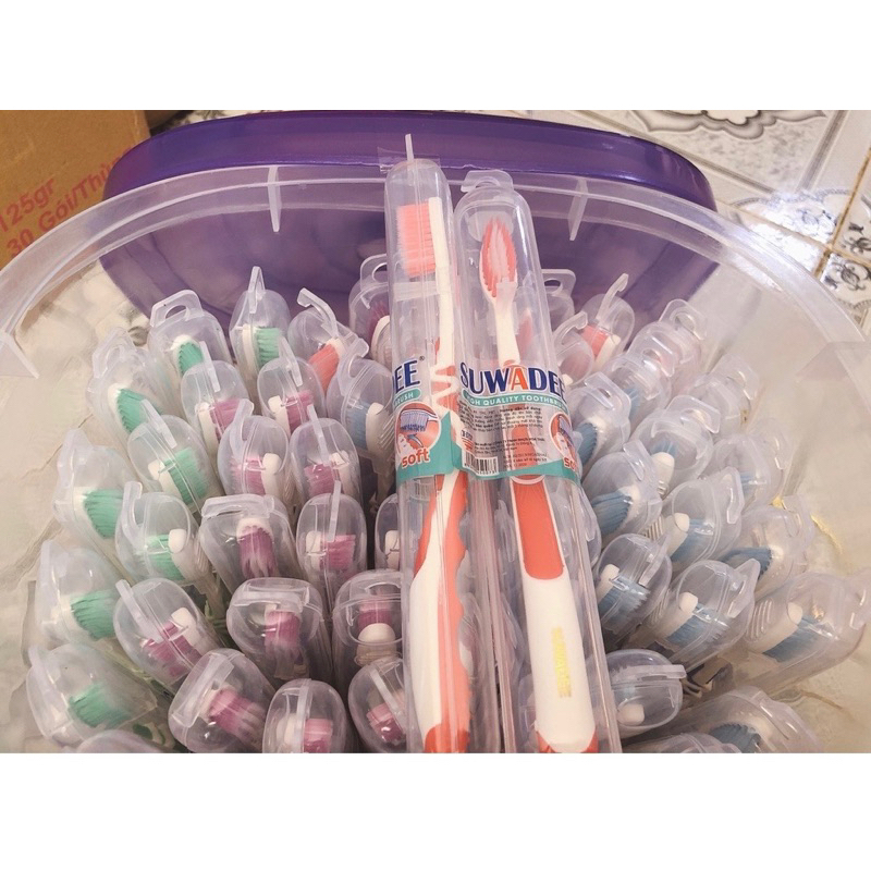 Bàn chải đánh răng SUWADEE Thailand - Mẫu 8026 Móc Treo