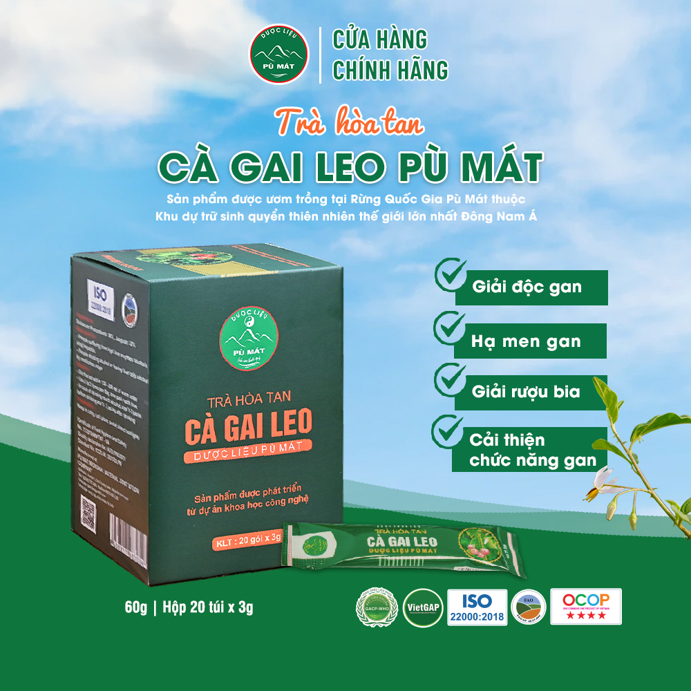 Trà hòa tan Cà Gai Leo Dược liệu Pù Mát giúp giải độc, mát gan 60g (Hộp 20 túi x3g)