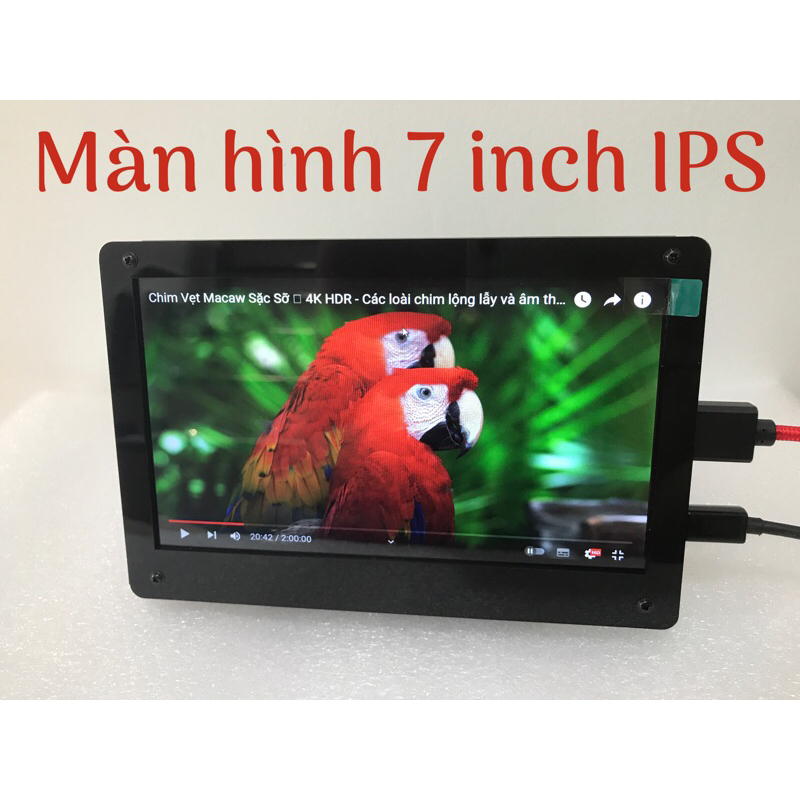 Màn hình 7 inch IPS vỏ mica