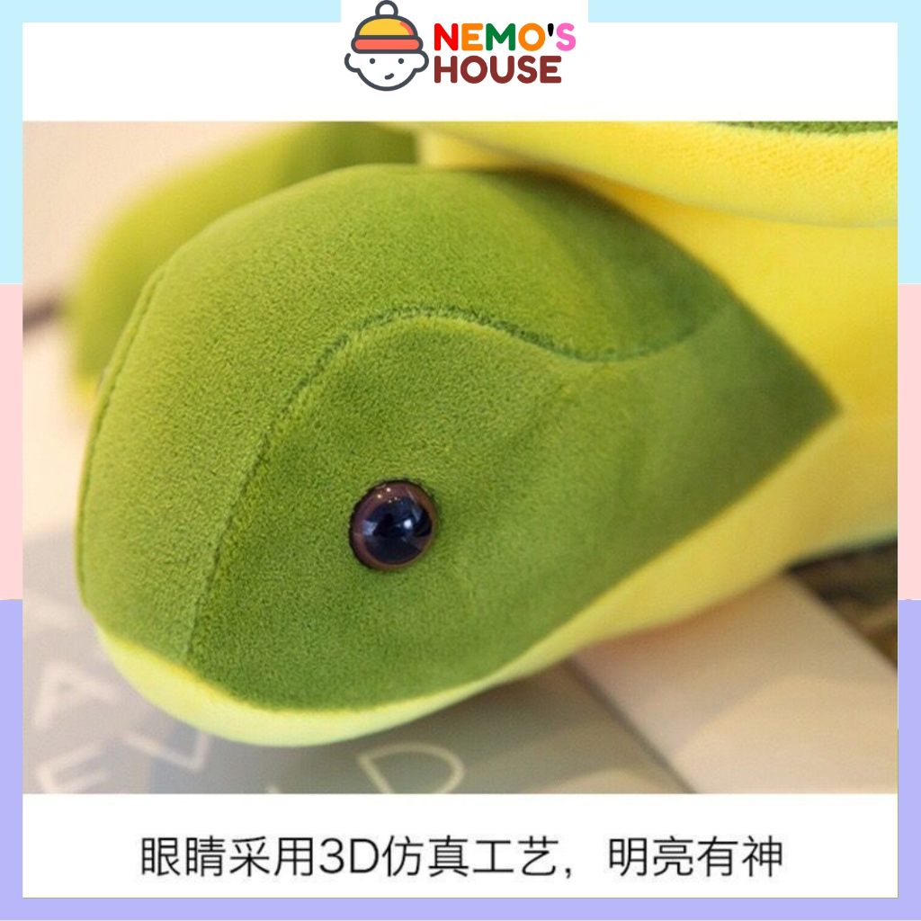 Gấu bông Teddy con rùa xanh dễ thương, gấu bông cute, thú nhồi bông giá rẻ đáng yêu cho bé