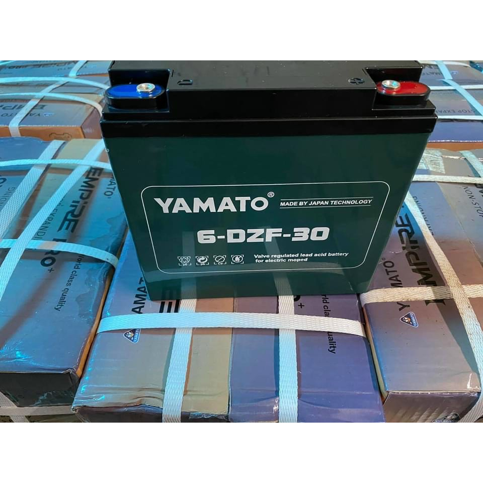 Ắc quy xe điện Yamato