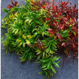 Hoa điểm đầu bông 100g hoa trang trí thảm cỏ tai chuột