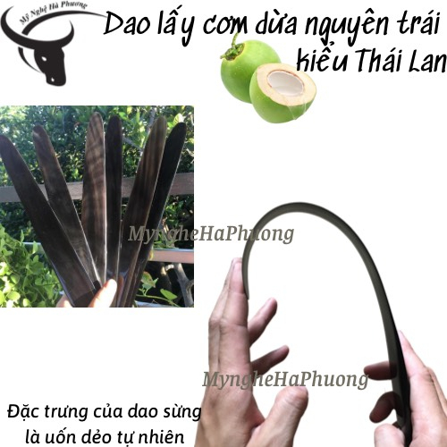 [Bảo hành 1 đổi 1] Dao sừng trâu gọt dừa kiểu Thái Lan - dao gọt dừa nguyên cơm hàng loại 1, kèm video hướng dẫn