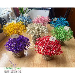 Lọ hoa khô baby nhỏ để bàn, lọ hoa khô trang trí, phụ kiện chụp ảnh, quà tặng sinh nhật dễ thương - Lavan Home