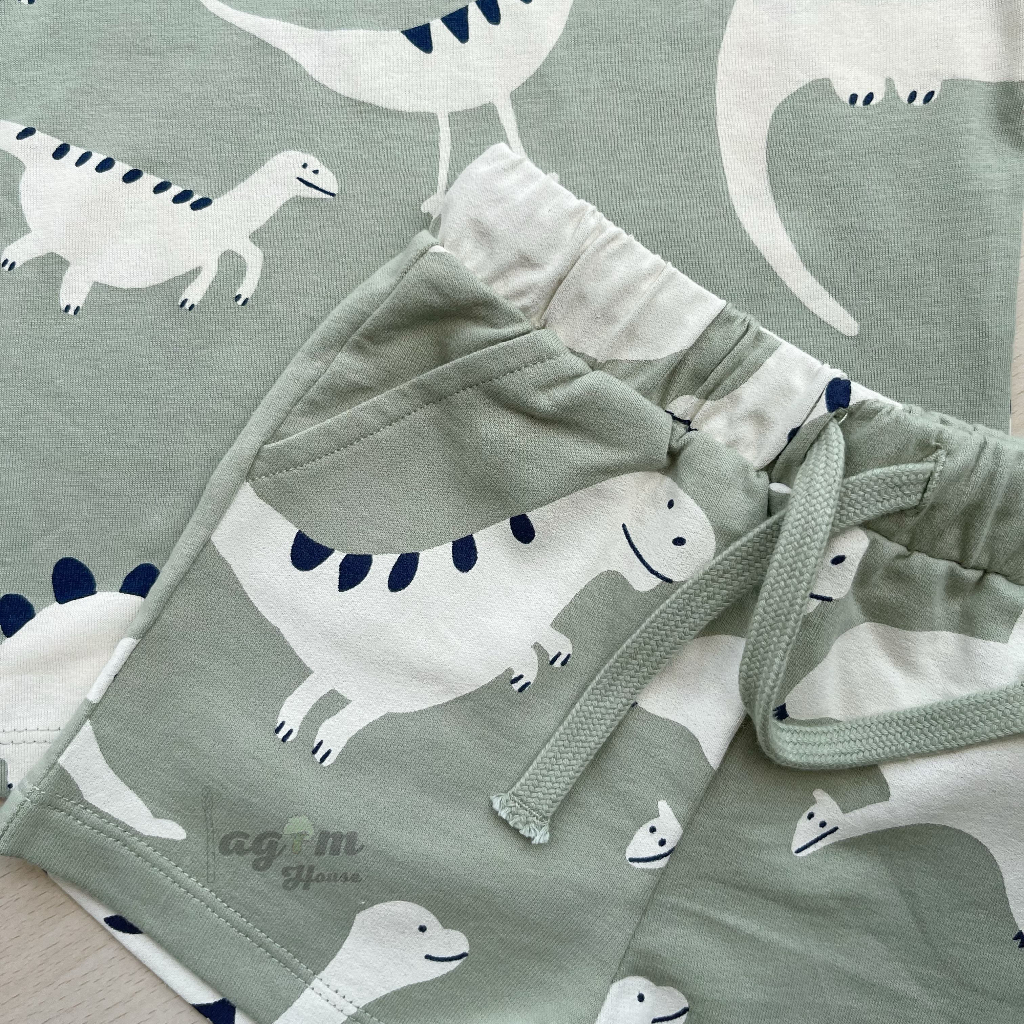 Set bộ quần áo khủng long HM cho bé trai 10-17kg - Lagim House