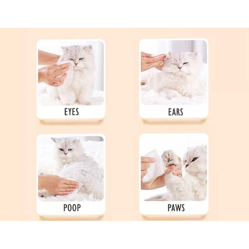 Khăn ướt lau cho chó mèo: lau tai, chân, đuôi, lau sau khi cún đi vệ sinh