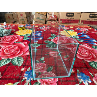 bể cá 30x20x20 kính 5li