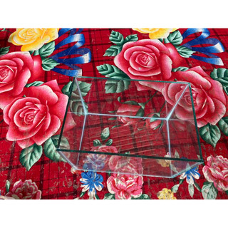 bể cá 30x20x20 kính 5li