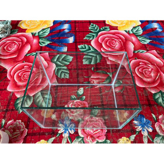 bể cá 30x20x20 kính 5li