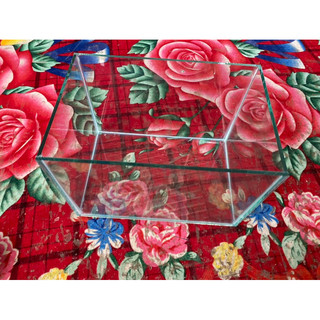 bể cá 30x20x20 kính 5li
