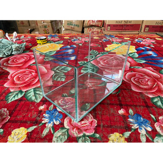 bể cá 30x20x20 kính 5li