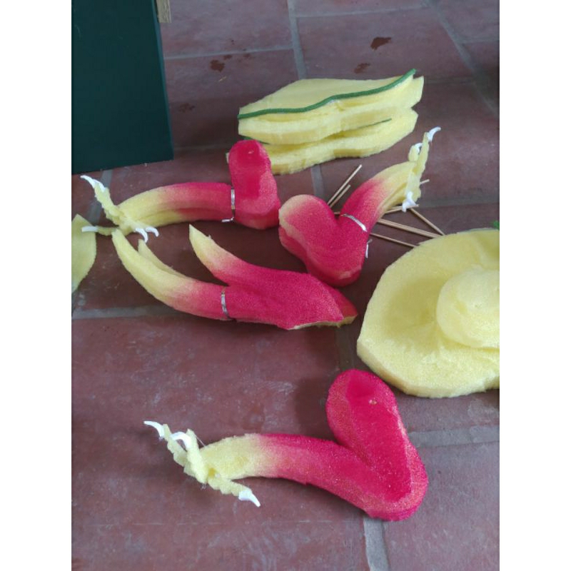 1 cặp chân rồng