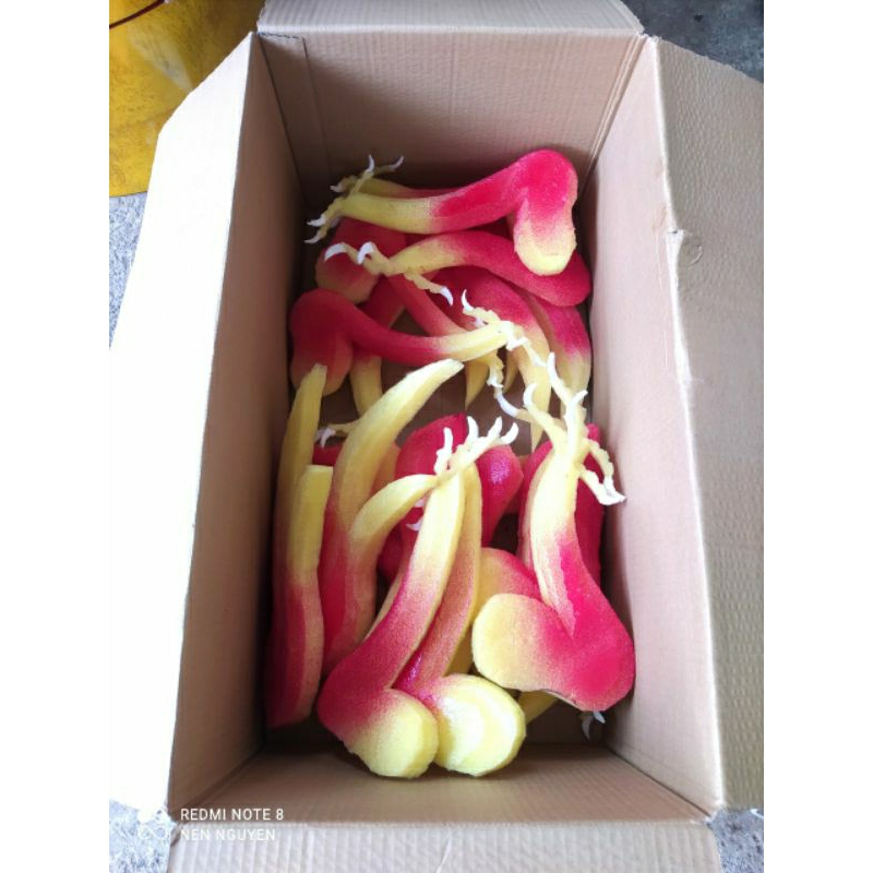 1 cặp chân rồng