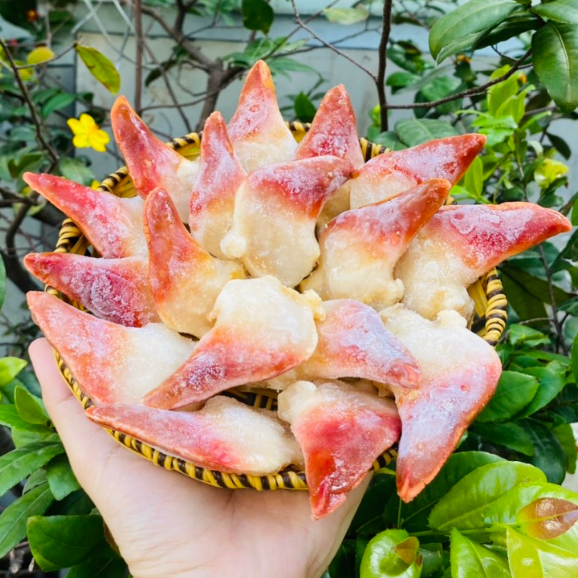 Giá sỉ - Sò Đỏ Chuẩn Sashimi