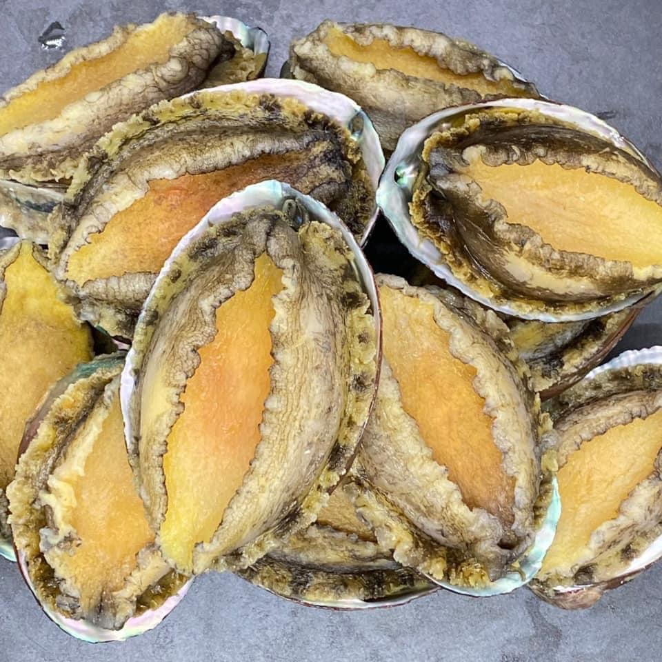 Giá sỉ 1Kg Bào Ngư Nissi Đầy Đủ Size - Q12