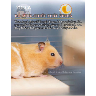 Thức ăn ECO Forest dành cho Hamster