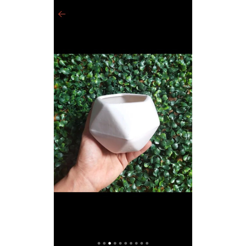 Chậu sứ trồng sen đá xương rồng - Chậu kim cương đa giác, chậu sứ nhiều màu