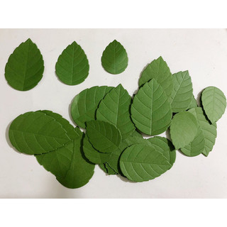 Lá hồng cắt sẵn (50-100 lá )