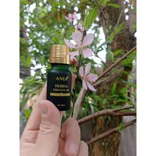 Tinh dầu thảo dược Anla xông phòng xông mũi, cảm cúm, phòng virut