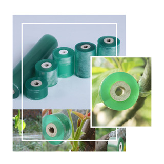 Băng keo ghép cây tự dính, băng keo ghép cây tự hủy, băng keo ghép cành