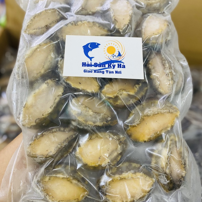 Giá sỉ -  Bào Ngư Abalone size 20con/1Kg