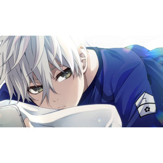 [NEKONII] 1 Tấm Ảnh in Hoạ sĩ NETPRINT BLUELOCK RIN NAGI