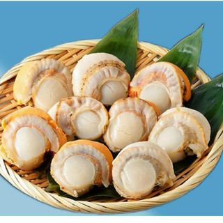 Giá sỉ - Cồi Sò Điệp Hấp Nissi - Hải sản Kỳ Hà