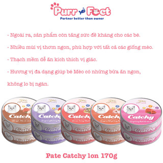 (DATE MỚI) Pate cho Mèo Catchy 5Plus lon 160g