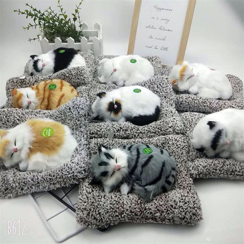 Chú mèo nằm ngủ trên thảm, sẵn pin, chứa than hoạt tính, biết kêu meo meo