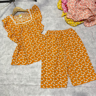 Bộ lửng lụa hàn cánh tiên, phom dưới 52kg