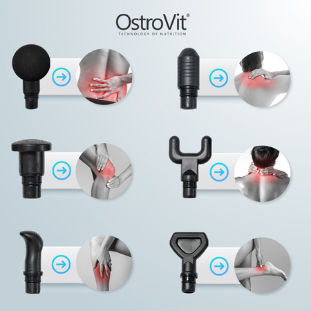 Máy massage cầm tay OstroVit Massage Gun OMG-01 cao cấp, chính hãng, giúp giãn cơ bắp - Gymstore