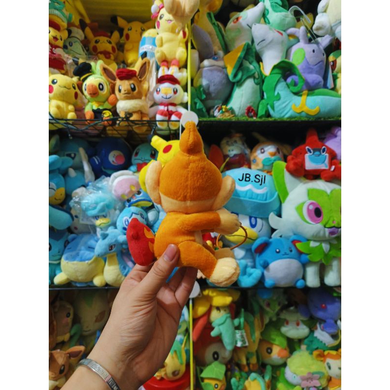 Gấu Bông Pokemon Size Nhí từ cơ bản đến nâng cao các loại All Brand!