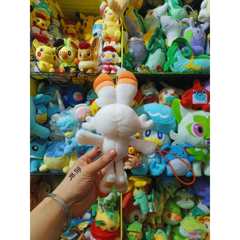 Gấu Bông Pokemon Size Nhí từ cơ bản đến nâng cao các loại All Brand!