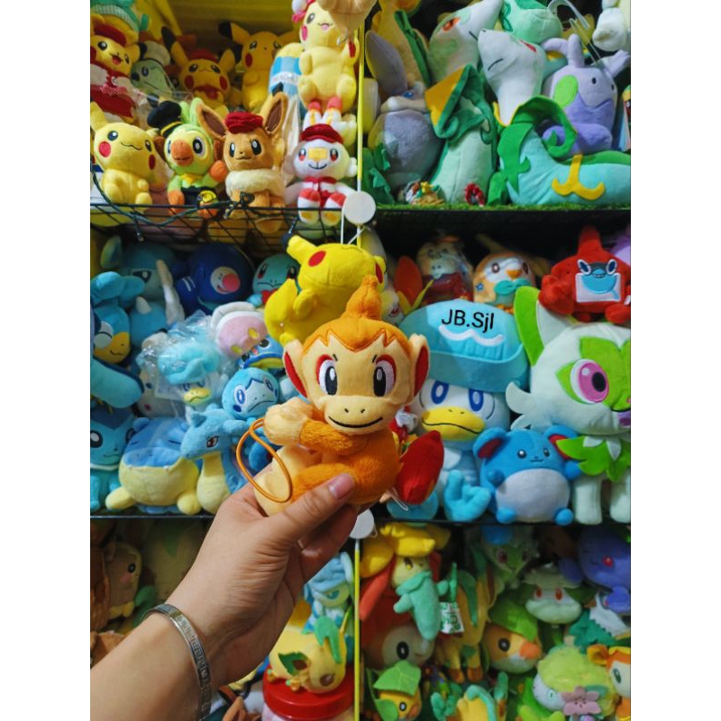 Gấu Bông Pokemon Size Nhí từ cơ bản đến nâng cao các loại All Brand!