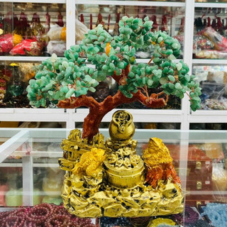Cây Tài Lộc trang trí tiểu cảnh thiềm thừ + bát tụ bảo - Cao 30cm
