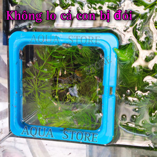 ( TRẠI DÙNG ) Cám AQUA  - Thức ăn cho Cá Con,Cá Bột Betta 7 màu🐣
