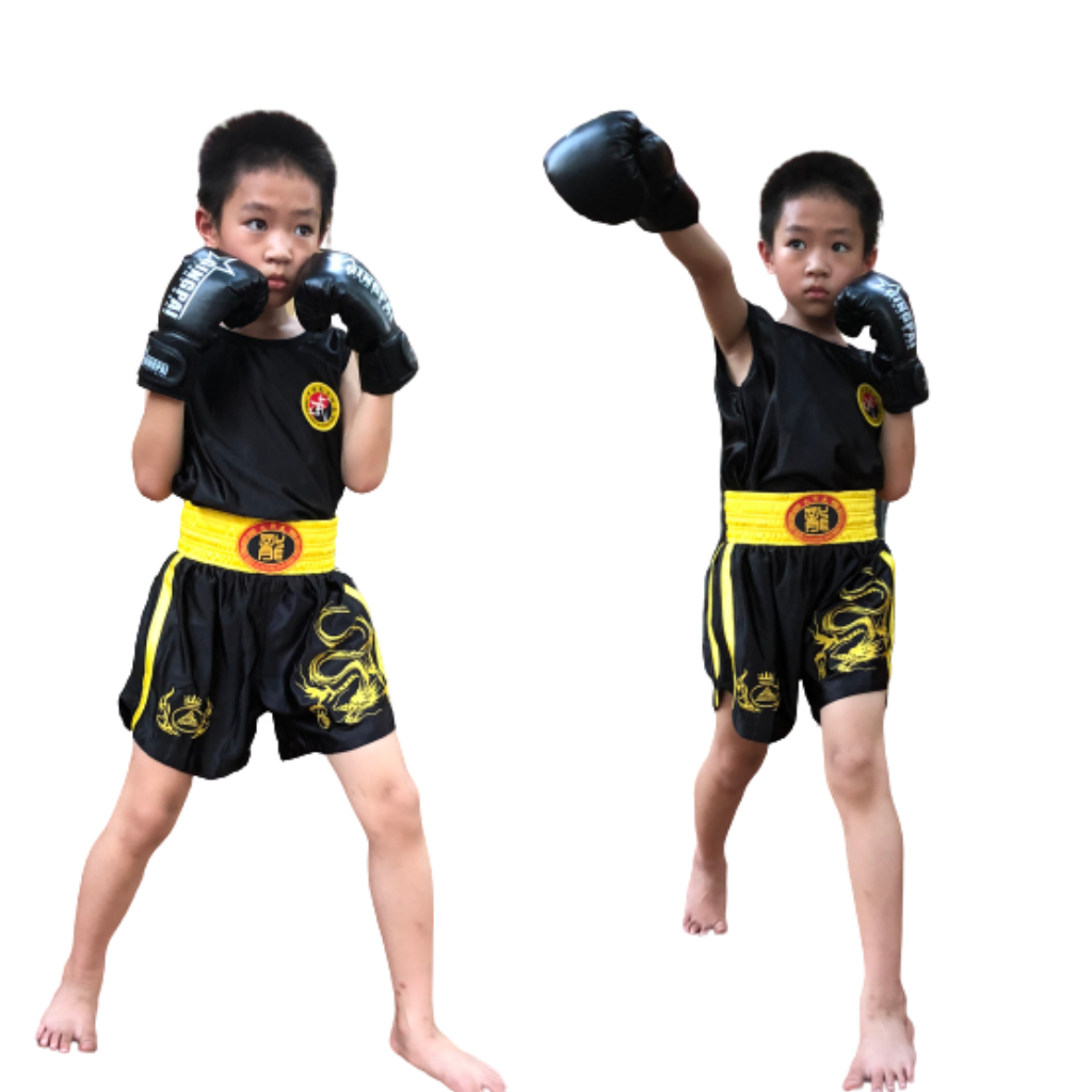 Bộ quần áo tập võ, đồ tập wushu tán thủ rồng thêu, kickboxing chính hãng JDUANL thoáng khí thấm mồ hôi tốt.