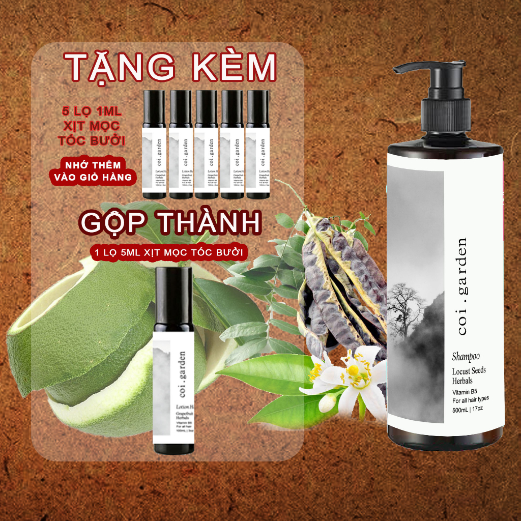 Dầu gội bồ kết Cội giảm gàu giảm rụng mọc tóc lâu bết thơm lâu - Dầu gội bồ kết CỘI