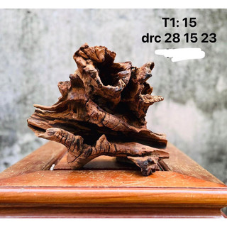 LŨA DECOR , SETUP HỒ CÁ, GHÉP LAN