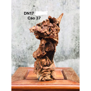 Lũa decor , setup hồ cá, ghép lan