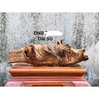 LŨA DECOR , SETUP HỒ CÁ, GHÉP LAN